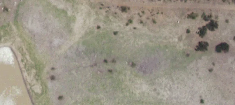 Cotulla, TX 78014