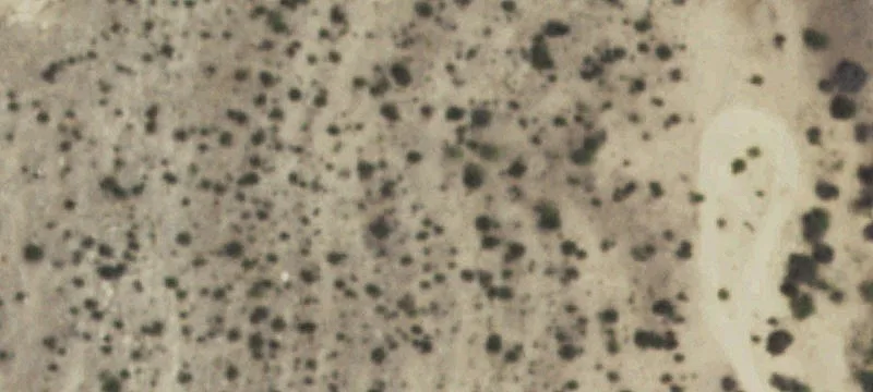 Mertzon, TX 76941