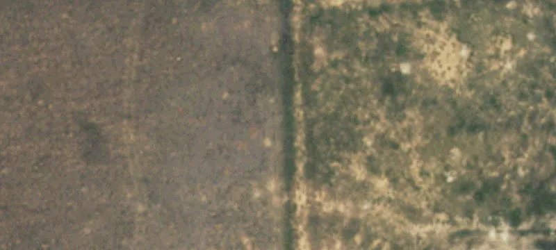 Dalhart, TX 79022
