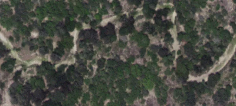Cotulla, TX 78014