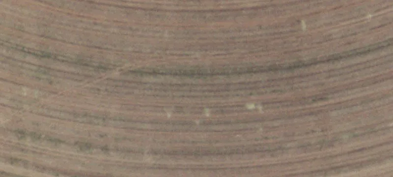 Friona, TX 79035