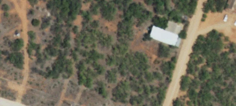 Trent, TX 79561