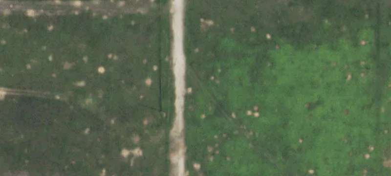 Lockney, TX 79241