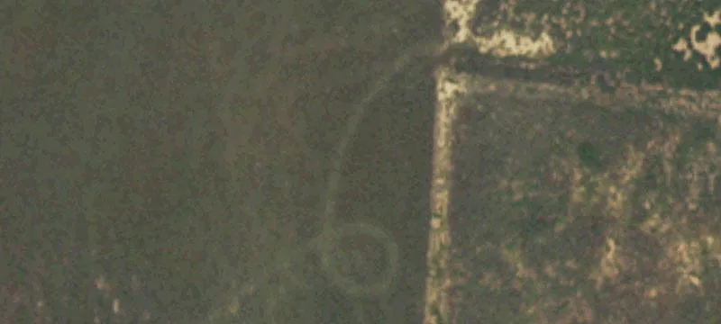 Dalhart, TX 79022