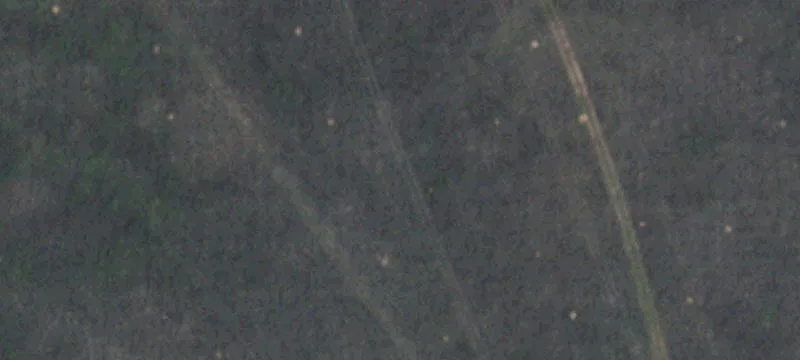 Friona, TX 79035