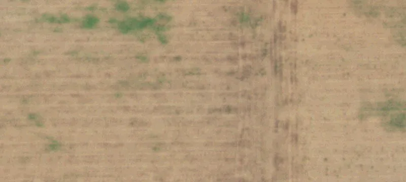 Floydada, TX 79235