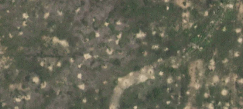 Lockney, TX 79241