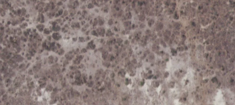 3079 Hwy 16