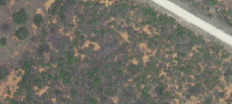 Cotulla, TX 78014