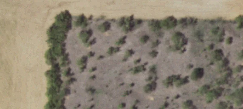 901 Us Hwy 84