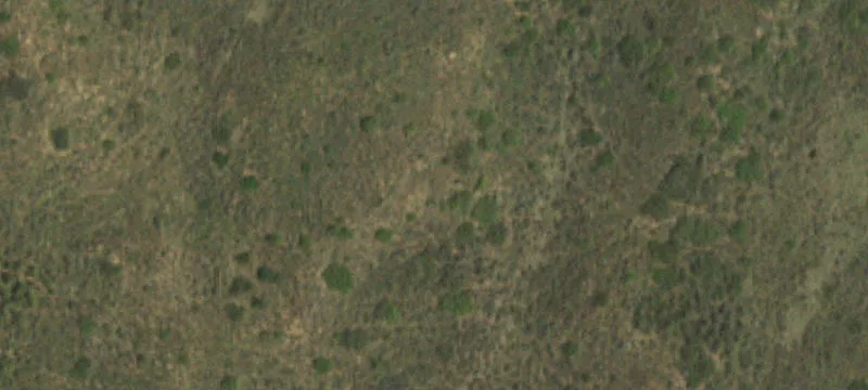 Wheeler, TX 79096