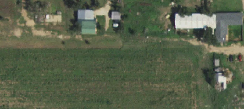 Ralls, TX 79357