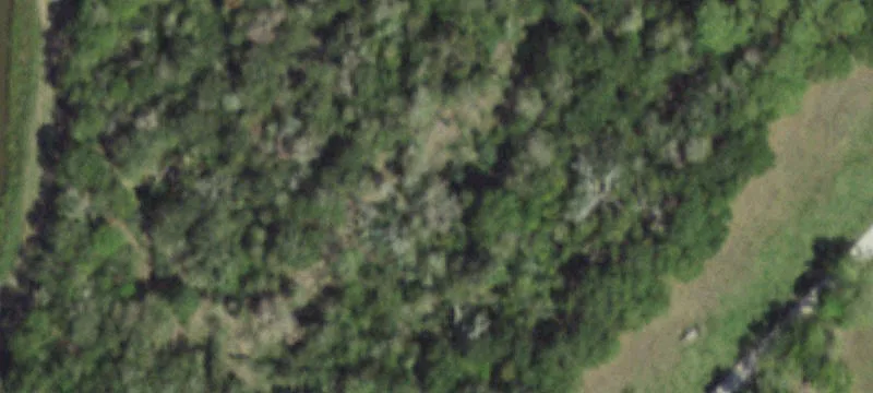 2914 County Rd 197