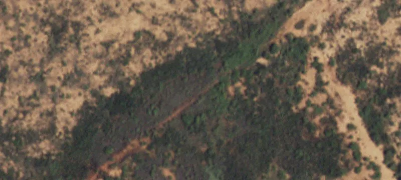 Whiteface, TX 79379