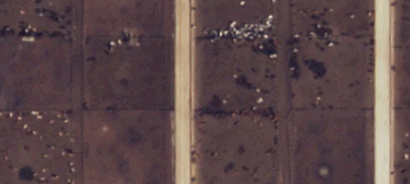 Friona, TX 79035