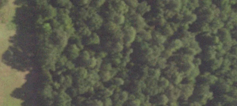 Annona, TX 75550