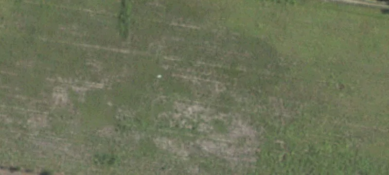 Hidalgo, TX 78557