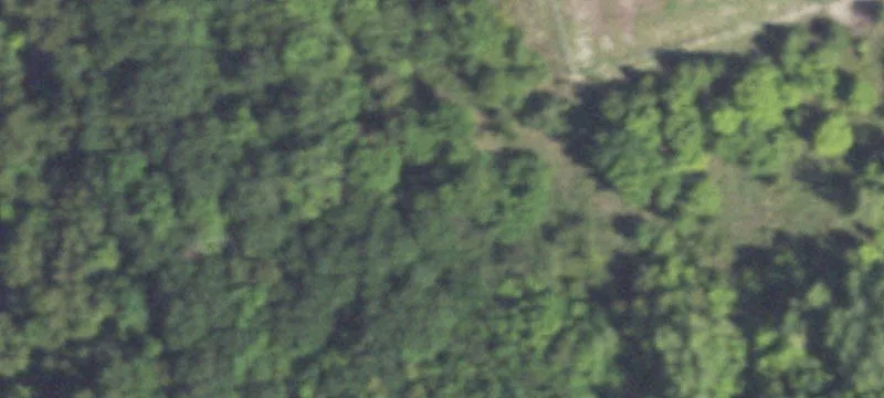 Athens, TX 75751