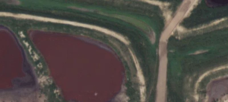 Friona, TX 79035