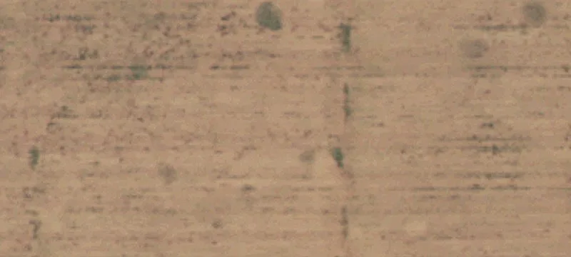 Friona, TX 79035