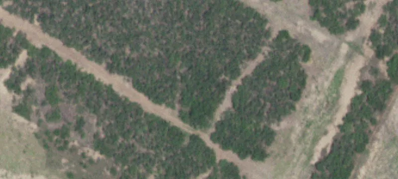 Cotulla, TX 78014