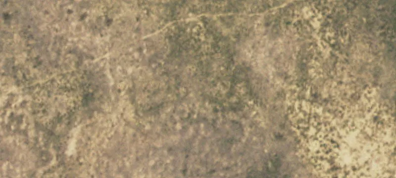 Dalhart, TX 79022