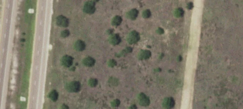 Falfurrias, TX 78355