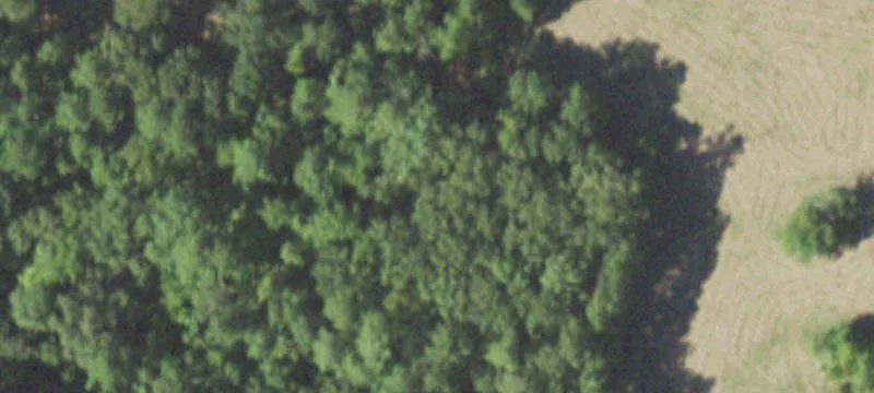 Yellowpine Hwy