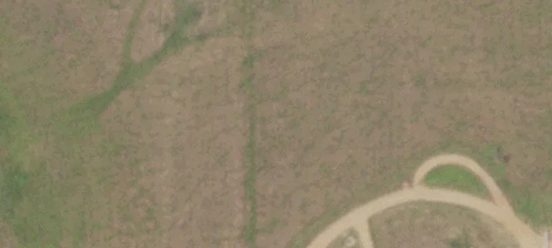 13372 State Hwy 16