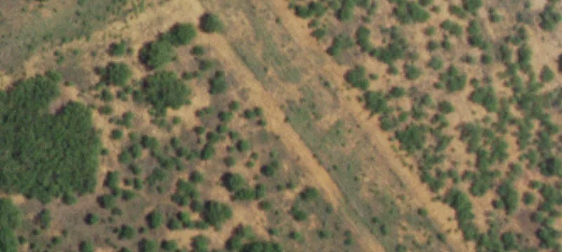 Cotulla, TX 78014