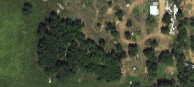 Turkey, TX 79261