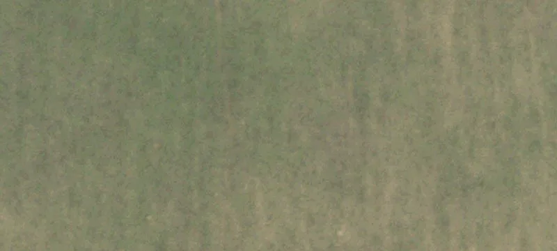 Spearman, TX 79081
