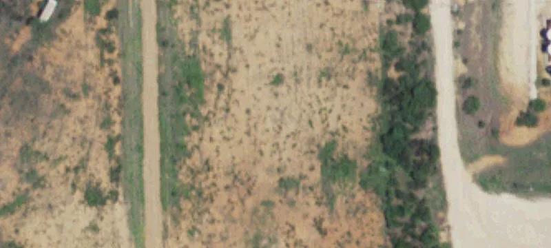 Cotulla, TX 78014