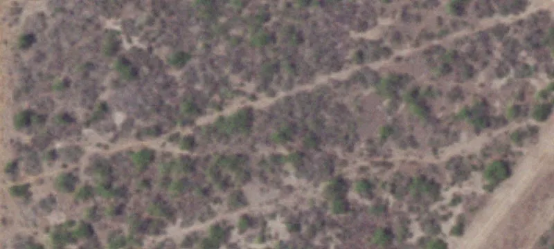 Calliham, TX 78007