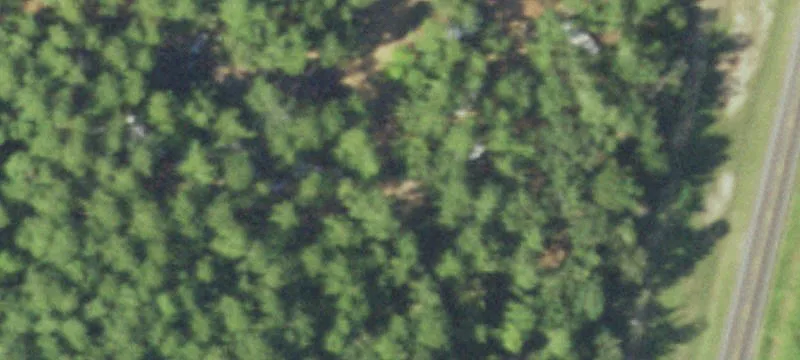 197 Private Rd 6067