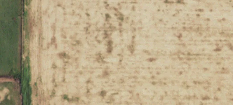 Wildorado, TX 79098