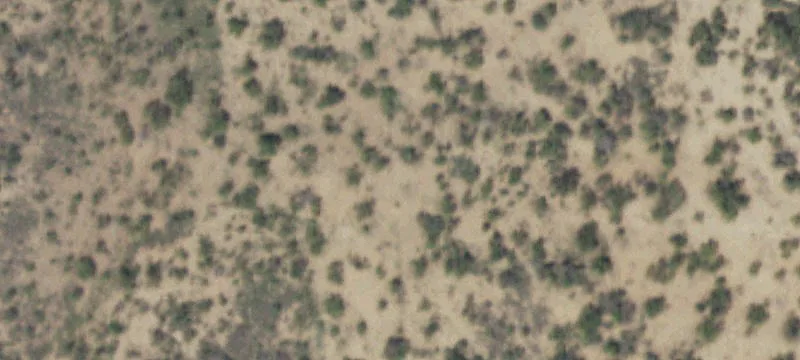 Voss, TX 76888