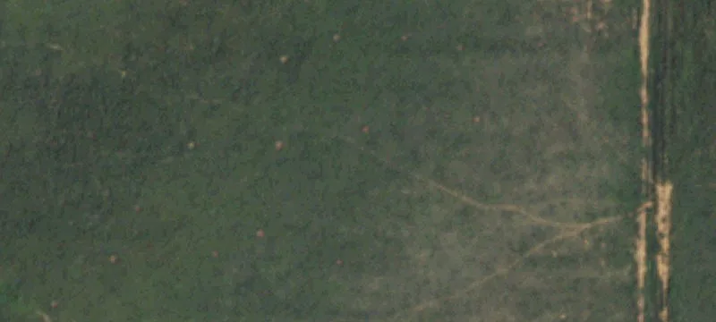 Bovina, TX 79009