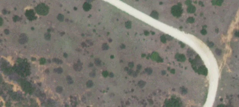 Cotulla, TX 78014