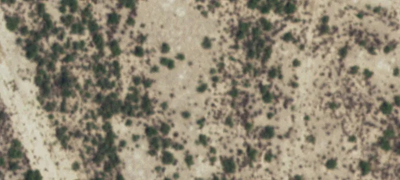 Monahans, TX 79756