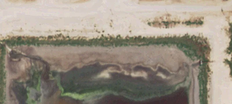 Dairy Site