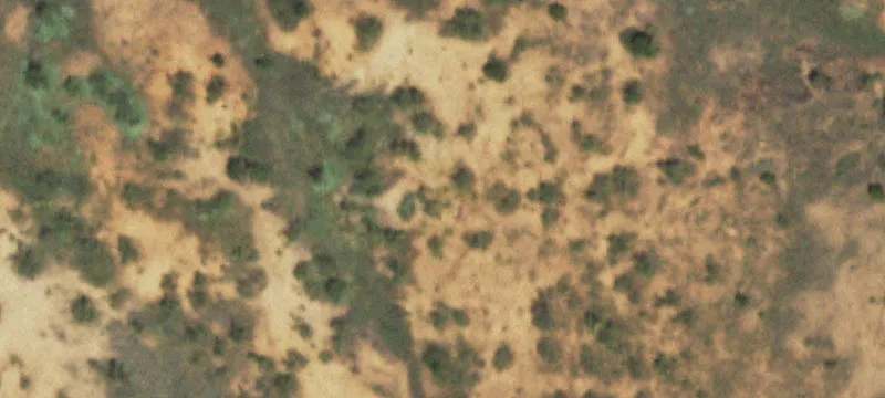 Roaring Springs, TX 79256
