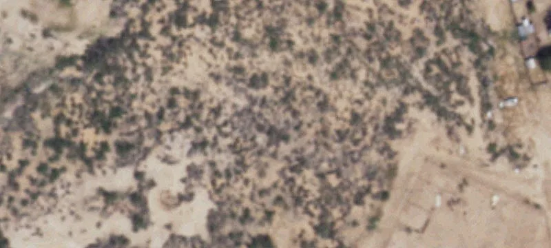 Pyote Hwy