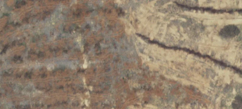 Jayton, TX 79528