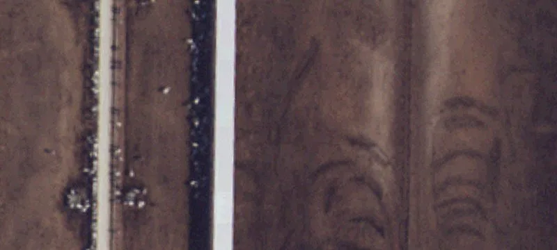 Muleshoe, TX 79347