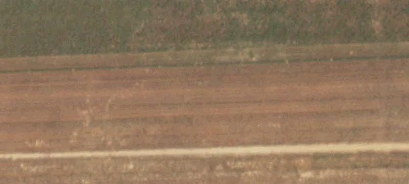 Dalhart, TX 79022