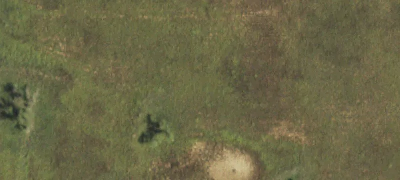 Wheeler, TX 79096