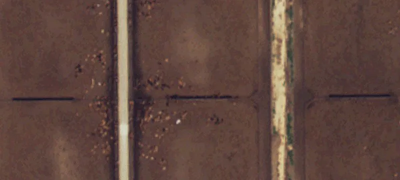 Dalhart, TX 79022