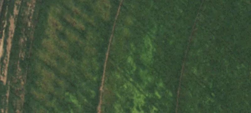 Friona, TX 79035