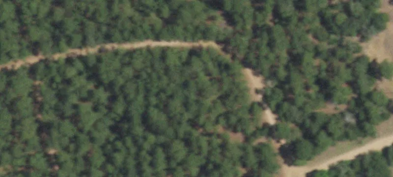 Red Fox Rd